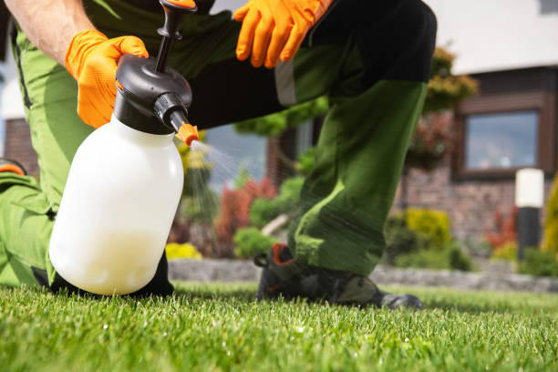 Best Best Pest Control Companies  in Lauderdale Lakes, WI