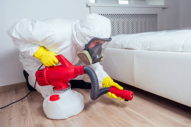 Wasp Removal Services in Lauderdale Lakes, WI