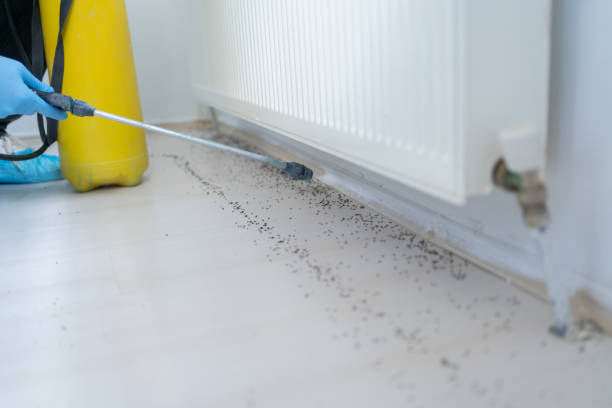 Best Pest Control Treatment  in Lauderdale Lakes, WI