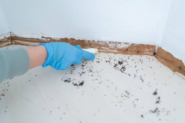 Best Pest Inspection Near Me  in Lauderdale Lakes, WI